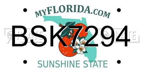BSK7294 Florida License Plate