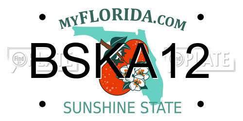 BSKA12 Florida License Plate