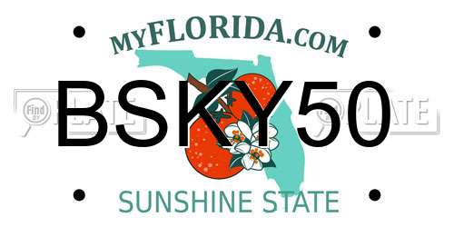 BSKY50 Florida License Plate
