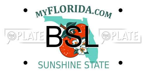 BSL Florida License Plate