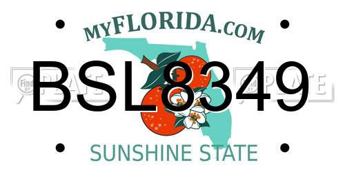 BSL8349 Florida License Plate