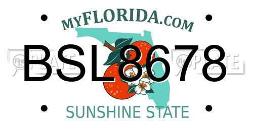 BSL8678 Florida License Plate