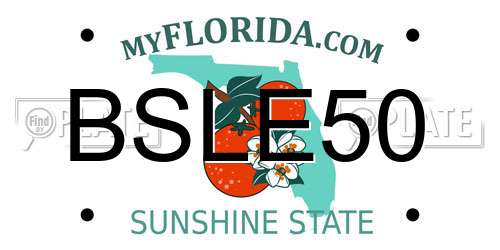 BSLE50 Florida License Plate