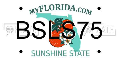 BSLS75 Florida License Plate