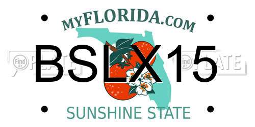 BSLX15 Florida License Plate
