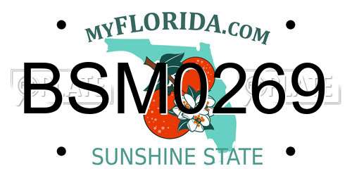 BSM0269 Florida License Plate