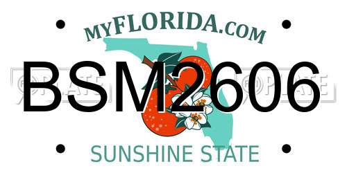 BSM2606 Florida License Plate