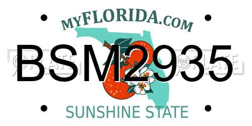 BSM2935 Florida License Plate