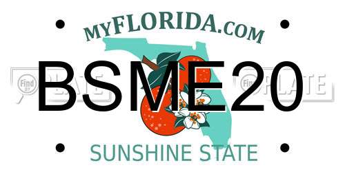 BSME20 Florida License Plate