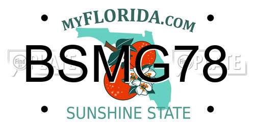 BSMG78 Florida License Plate