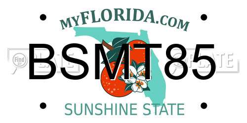 BSMT85 Florida License Plate