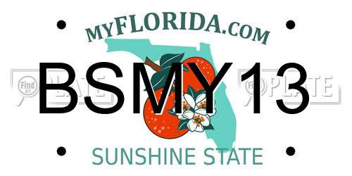 BSMY13 Florida License Plate