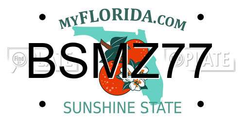 BSMZ77 Florida License Plate