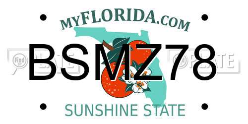 BSMZ78 Florida License Plate