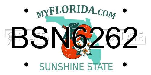 BSN6262 Florida License Plate
