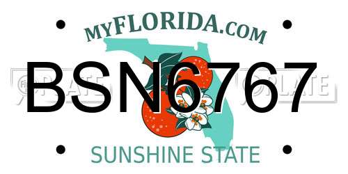 BSN6767 Florida License Plate