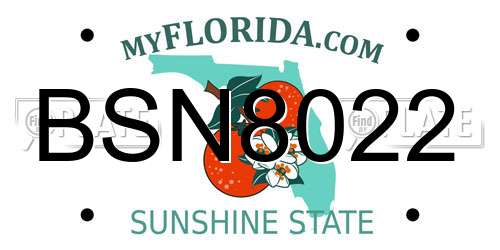 BSN8022 Florida License Plate