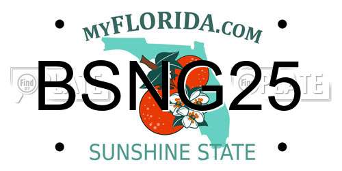 BSNG25 Florida License Plate