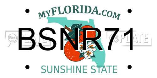 BSNR71 Florida License Plate