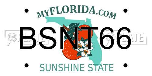 BSNT66 Florida License Plate