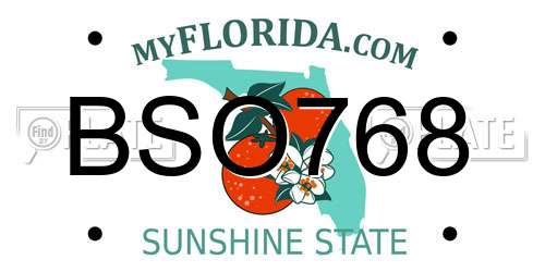 BSO768 Florida License Plate