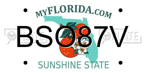 BSO87V Florida License Plate