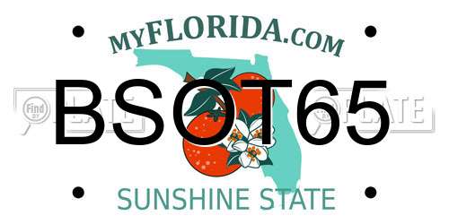 BSOT65 Florida License Plate
