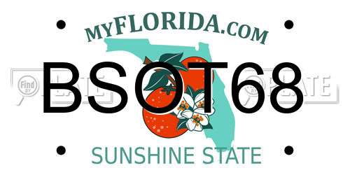 BSOT68 Florida License Plate