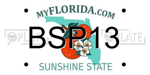 BSP13 Florida License Plate