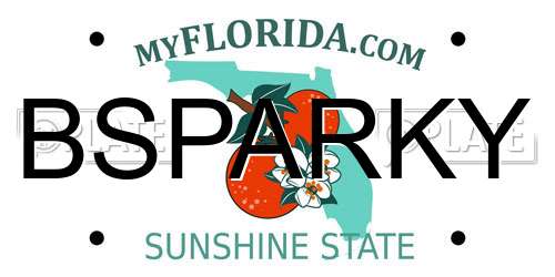 BSPARKY Florida License Plate