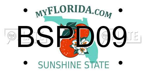 BSPD09 Florida License Plate