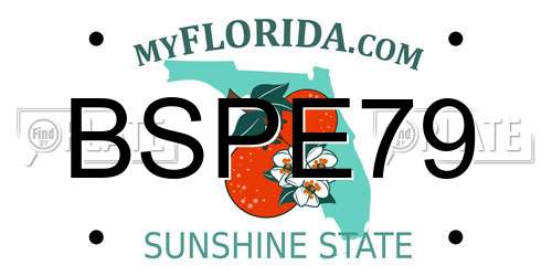 BSPE79 Florida License Plate