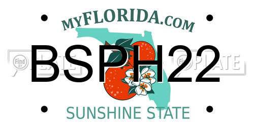 BSPH22 Florida License Plate