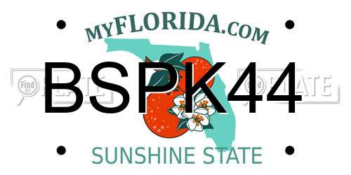 BSPK44 Florida License Plate