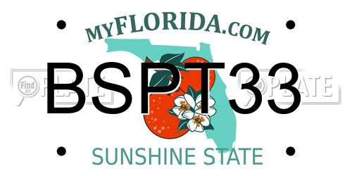 BSPT33 Florida License Plate