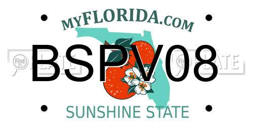 BSPV08 Florida License Plate