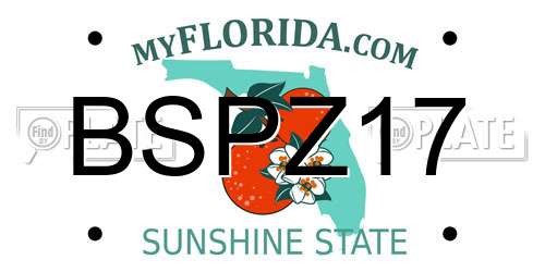 BSPZ17 Florida License Plate