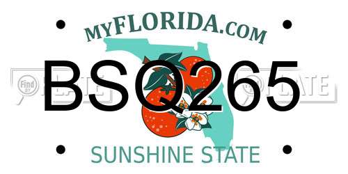 BSQ265 Florida License Plate