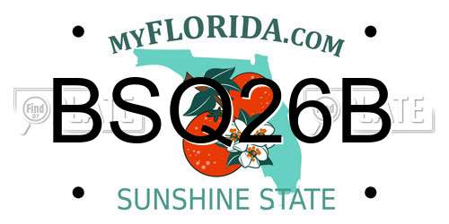 BSQ26B Florida License Plate