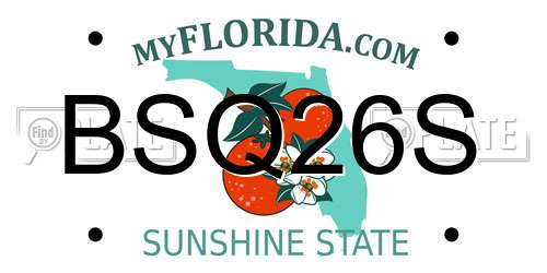 BSQ26S Florida License Plate