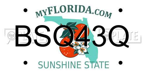 BSQ43Q Florida License Plate