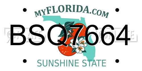 BSQ7664 Florida License Plate
