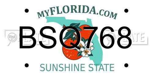 BSQ768 Florida License Plate