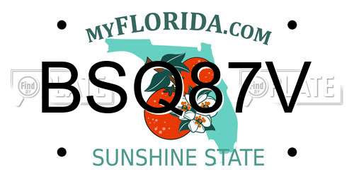 BSQ87V Florida License Plate