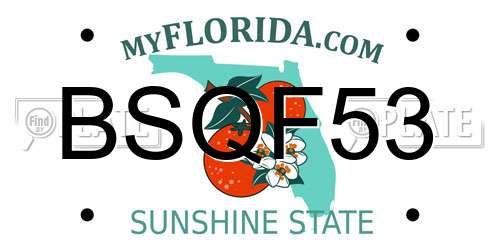 BSQF53 Florida License Plate