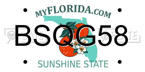 BSQG58 Florida License Plate