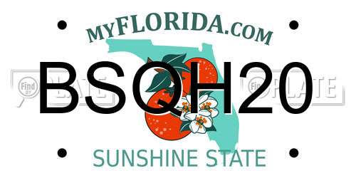 BSQH20 Florida License Plate