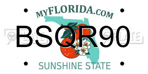 BSQR90 Florida License Plate