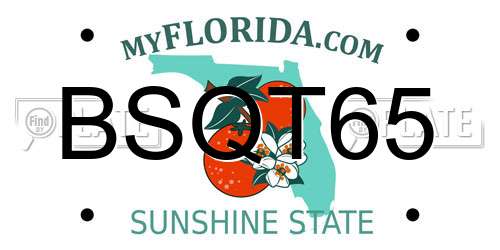 BSQT65 Florida License Plate