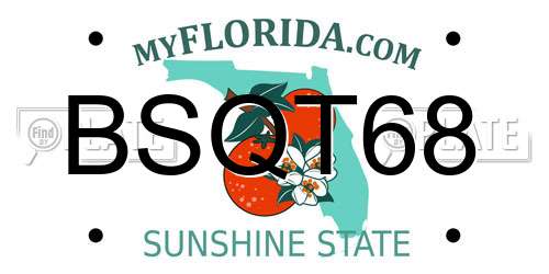 BSQT68 Florida License Plate
